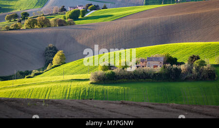 Paysage de campagne, Macerta Morrovalle village, district de Macerata, Marches, Italie Banque D'Images