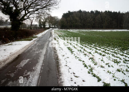 Une route de campagne en hiver avec la neige, Warwickshire, UK Banque D'Images