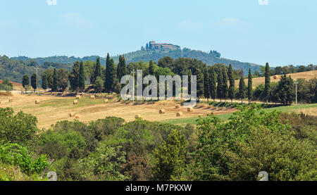 Beau paysage de Toscane La campagne d'été en Italie. Banque D'Images