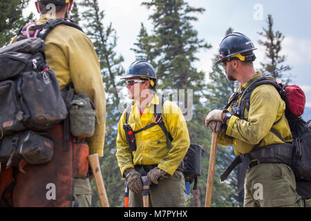 Les membres de l'équipe d'attaque initiale Billings sur l'attaque initiale Buffalo des équipes ont travaillé pour garder le Buffalo Fire de franchir la Slough Creek Trail. Banque D'Images