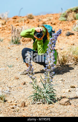 Jeune femme admire une vue magnifique sur la montagne et prend des photos Banque D'Images