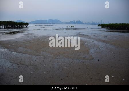 La baie de Shenzhen et skyline vu de nouveaux territoires, Hong Kong Banque D'Images