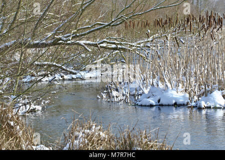 Wensum Rivière en hiver - Norfolk Angleterre Banque D'Images
