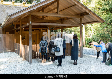 Le Japon, l'Ise, Ise-jingu, sanctuaire Geku extérieur. Les gens priaient à petit sanctuaire en bois bâtiment shinden. Shinmei zukuri. Banque D'Images