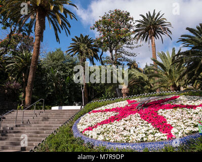 Horloge Fleurie, Parque García Sanabria, Santa Cruz de Tenerife, Tenerife, Espagne. Banque D'Images