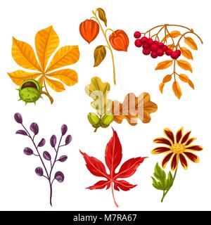 Jeu de l'automne les feuilles stylisées et des plantes. Pour les objets de décoration, design sur des brochures publicitaires, bannières, écorcheurs Illustration de Vecteur