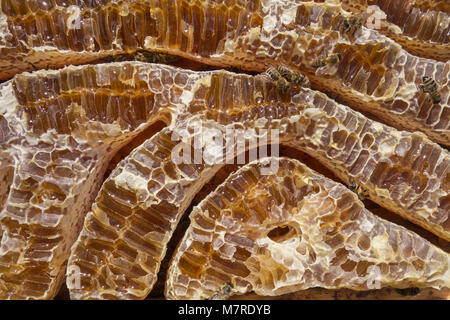 Vue rapprochée du miel et les abeilles travail honeycells rempli Banque D'Images