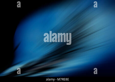 Les lignes courbes de couleur radial. Résumé fond. Élément de design. Banque D'Images