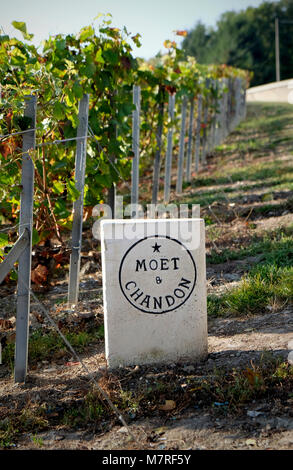 Un signe indiquant la pierre vignes appartenant à la maison de champagne Moet Chandon à Epernay, France Banque D'Images