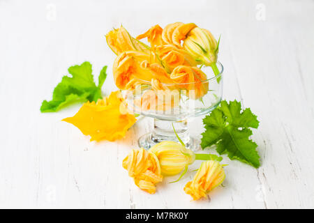 Fleurs de courgettes comestibles sur fond blanc Banque D'Images