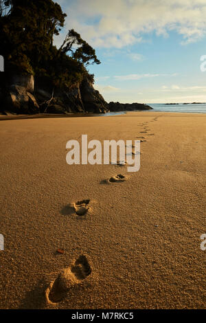 Empreintes de pieds dans le sable, Mosquito Bay, parc national Abel Tasman, région de Nelson, île du Sud, Nouvelle-Zélande Banque D'Images