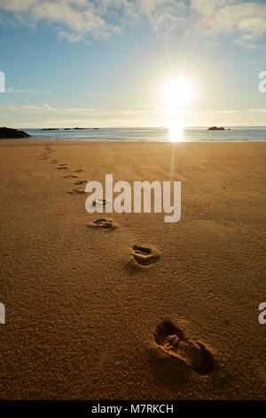 Empreintes de pieds dans le sable au lever du soleil, la baie des moustiques, Abel Tasman National Park, région de Nelson, île du Sud, Nouvelle-Zélande Banque D'Images