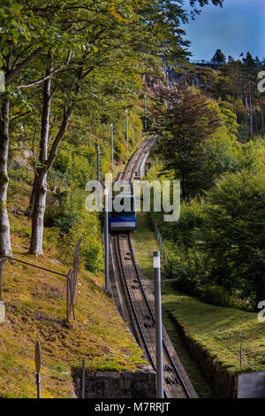 Le funiculaire pour le négliger sur Floyen mountain à Bergen, Norvège monte à travers les arbres verts luxuriants Banque D'Images