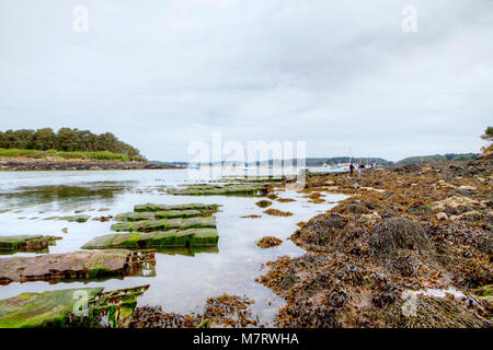 Golfe du Morbihan à marée basse, Morbihan, France. Banque D'Images