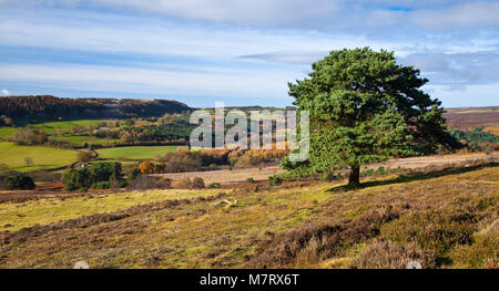 North York Moors en automne Vue sur Lowna de Hutton Solihull North Yorkshire Banque D'Images