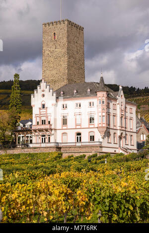 Boosenburg, Rüdesheim, Rheingau, Hessen, Allemagne Banque D'Images