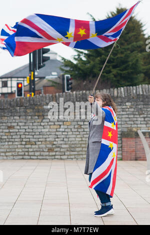 Les artistes de rue au Brexit manifestation avec drapeaux Europe et Royaume-Uni Banque D'Images