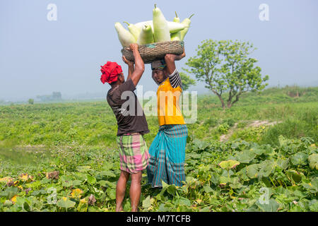 Bouteille gourdes sont chargement sur le bateau. Banque D'Images