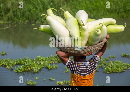 Bouteille gourdes sont chargement sur le bateau. Banque D'Images