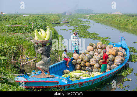 Bouteille gourdes sont chargement sur le bateau. Banque D'Images