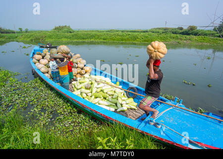 Les citrouilles sont chargement sur le bateau. Banque D'Images