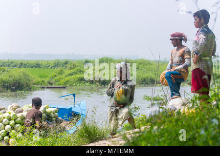 Les citrouilles sont chargement sur le bateau. Banque D'Images