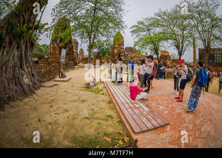 AYUTTHAYA, THAÏLANDE, février, 08, 2018 : des personnes non identifiées, en tenant à l'extérieur d'autoportraits tête Bouddha recouvertes par figuier dans Wat Mahathat. Parc historique d'Ayutthaya Banque D'Images