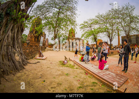 AYUTTHAYA, THAÏLANDE, février, 08, 2018 : des personnes non identifiées, en tenant à l'extérieur d'autoportraits tête Bouddha recouvertes par figuier dans Wat Mahathat. Parc historique d'Ayutthaya Banque D'Images