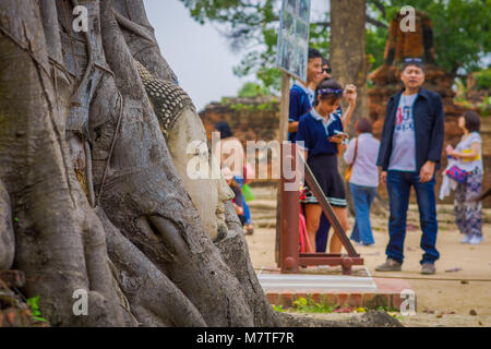 AYUTTHAYA, THAÏLANDE, février, 08, 2018 : focus sélectif de la tête à l'extérieur par la végétation figuier dans Wat Mahathat. Parc historique d'Ayutthaya Banque D'Images