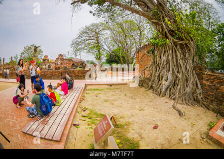 AYUTTHAYA, THAÏLANDE, février, 08, 2018 : des personnes non identifiées, en tenant à l'extérieur d'autoportraits tête Bouddha recouvertes par figuier dans Wat Mahathat. Parc historique d'Ayutthaya Banque D'Images