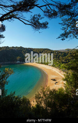 Te Pukatea Bay, parc national Abel Tasman, région de Nelson, île du Sud, Nouvelle-Zélande Banque D'Images