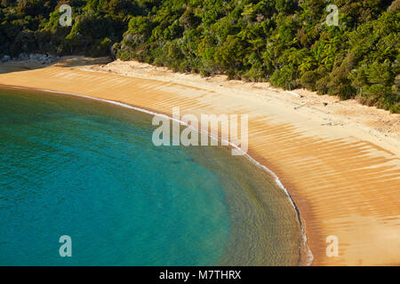 Plage de Te Pukatea Bay, parc national Abel Tasman, région de Nelson, île du Sud, Nouvelle-Zélande Banque D'Images