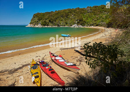 Kayaks, Te Pukatea Bay, parc national Abel Tasman, région de Nelson, île du Sud, Nouvelle-Zélande Banque D'Images