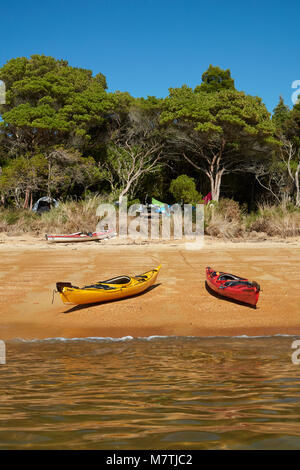 Kayaks et camping, Te Pukatea Bay, parc national Abel Tasman, région de Nelson, île du Sud, Nouvelle-Zélande Banque D'Images