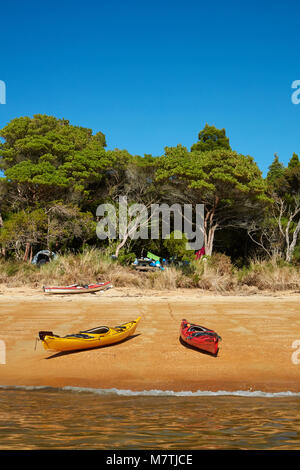 Kayaks et camping, Te Pukatea Bay, parc national Abel Tasman, région de Nelson, île du Sud, Nouvelle-Zélande Banque D'Images