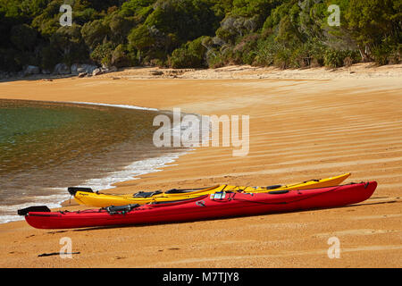 Kayaks, Te Pukatea Bay, parc national Abel Tasman, région de Nelson, île du Sud, Nouvelle-Zélande Banque D'Images