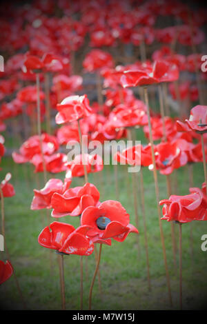 Cathédrale de Hereford - Mars 2018 - sculpture du coquelicot emblématique fenêtre pleurant par l'artiste Paul Cummins et designer Tom Piper ouvre à la Cathédrale de Hereford, dans le cadre de la dernière année de la Première Guerre mondiale 14-18 maintenant centenaire art project. Près de 6 000 coquelicots en céramique individuels découlent d'une fenêtre du haut vers le bas à la terre. L'exposition sera à la Cathédrale de Hereford au 29 avril 2018. Photo Steven Mai / Alamy Live News Banque D'Images