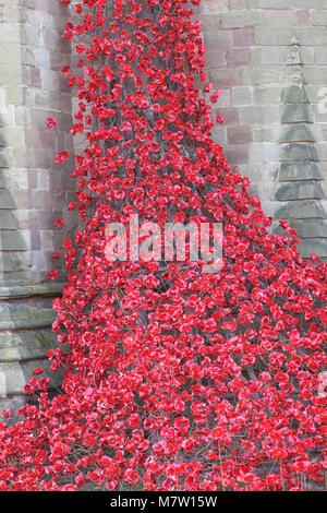 Cathédrale de Hereford - Mars 2018 - sculpture du coquelicot emblématique fenêtre pleurant par l'artiste Paul Cummins et designer Tom Piper ouvre à la Cathédrale de Hereford, dans le cadre de la dernière année de la Première Guerre mondiale 14-18 maintenant centenaire art project. Près de 6 000 coquelicots en céramique individuels découlent d'une fenêtre du haut vers le bas à la terre. L'exposition sera à la Cathédrale de Hereford au 29 avril 2018. Photo Steven Mai / Alamy Live News Banque D'Images