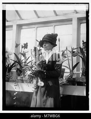 MRS Coolidge assiste au spectacle Amaryllis le 15 mars 1924, mettant en valeur l'importance culturelle de l'événement dans la société américaine du début du XXe siècle. Banque D'Images