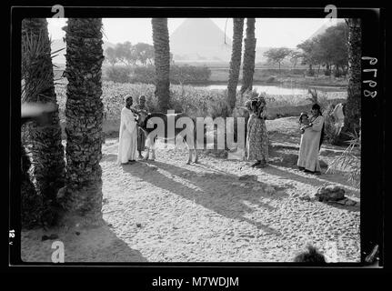 L'Égypte. Types d'agriculture. La vie paysanne dans un matpc paleu grove LOC.18002 Banque D'Images