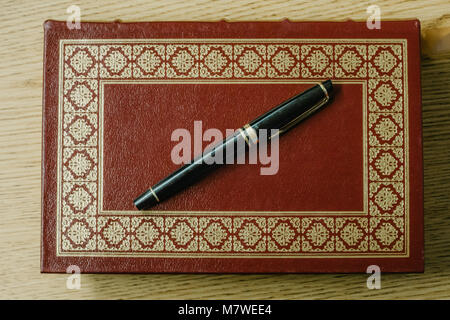 Stylo sur le cuir d'adresses Banque D'Images