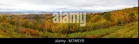 Le feuillage de l'automne Vermont State Highway 9, à l'ouest de Portland. Banque D'Images