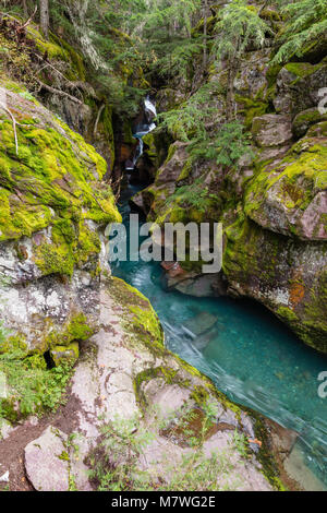 Avalanche Creek, Glacier National Park, Montana Banque D'Images