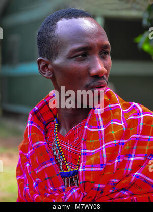 Portrait d'un jeune membre de la tribu masai en robe rouge traditionnelle avec collier d'ornement. Close up, profil de beau guerrier dans le Masai Mara Banque D'Images