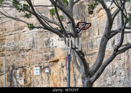 L'une des nombreuses nouvelles voitures vélos à Sydney a été endommagé et placé en hauteur dans un arbre dans le centre-ville, banlieue de Pyrmont Banque D'Images