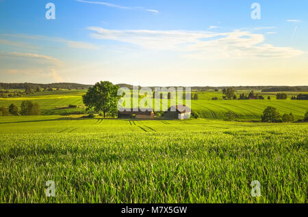 Paysage d'été - Pologne Warmia Banque D'Images