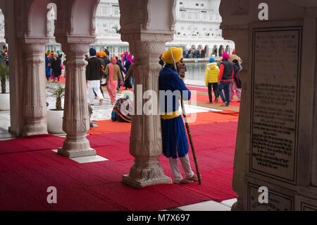 Un Sikh avec un javelot - dures guerrier indien garde le temple d'or. Banque D'Images