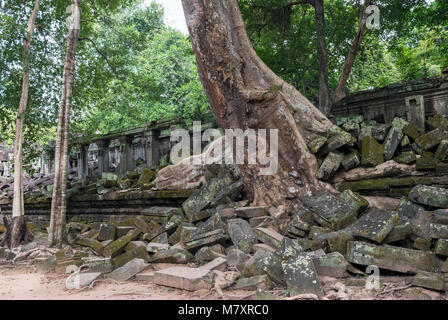 Prasat Beng Mealea Temple, Cambodge Banque D'Images