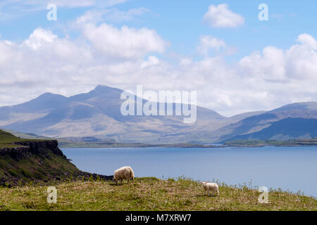 Vue sur le Loch Tuath à Ben plus sur la montagne de la côte ouest. Kilninian Isle of Mull Argyll et Bute Hébrides intérieures Western Isles Scotland UK Banque D'Images