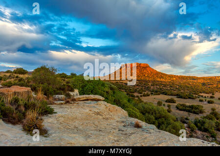 Colline de grès coucher du soleil dans le nord de l'Afrique du sud de l'état libre Banque D'Images